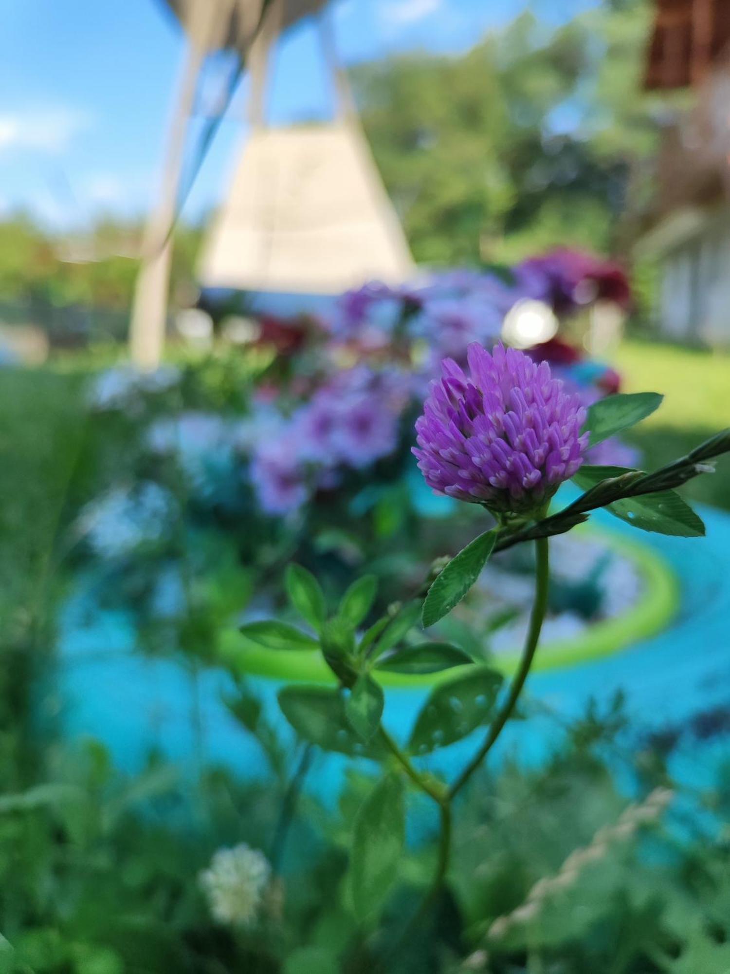 Happy Home Келіменешті Екстер'єр фото