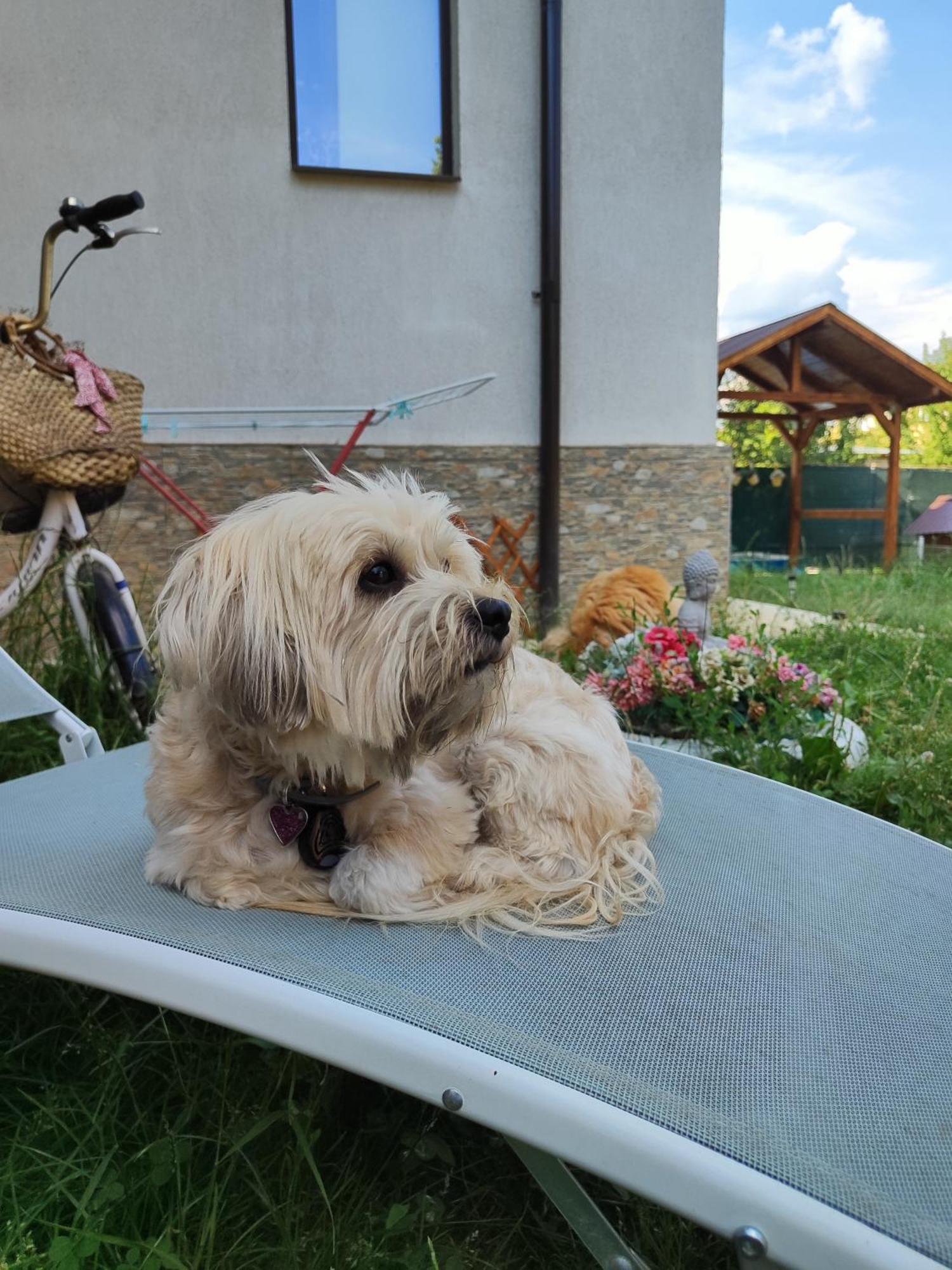 Happy Home Келіменешті Екстер'єр фото